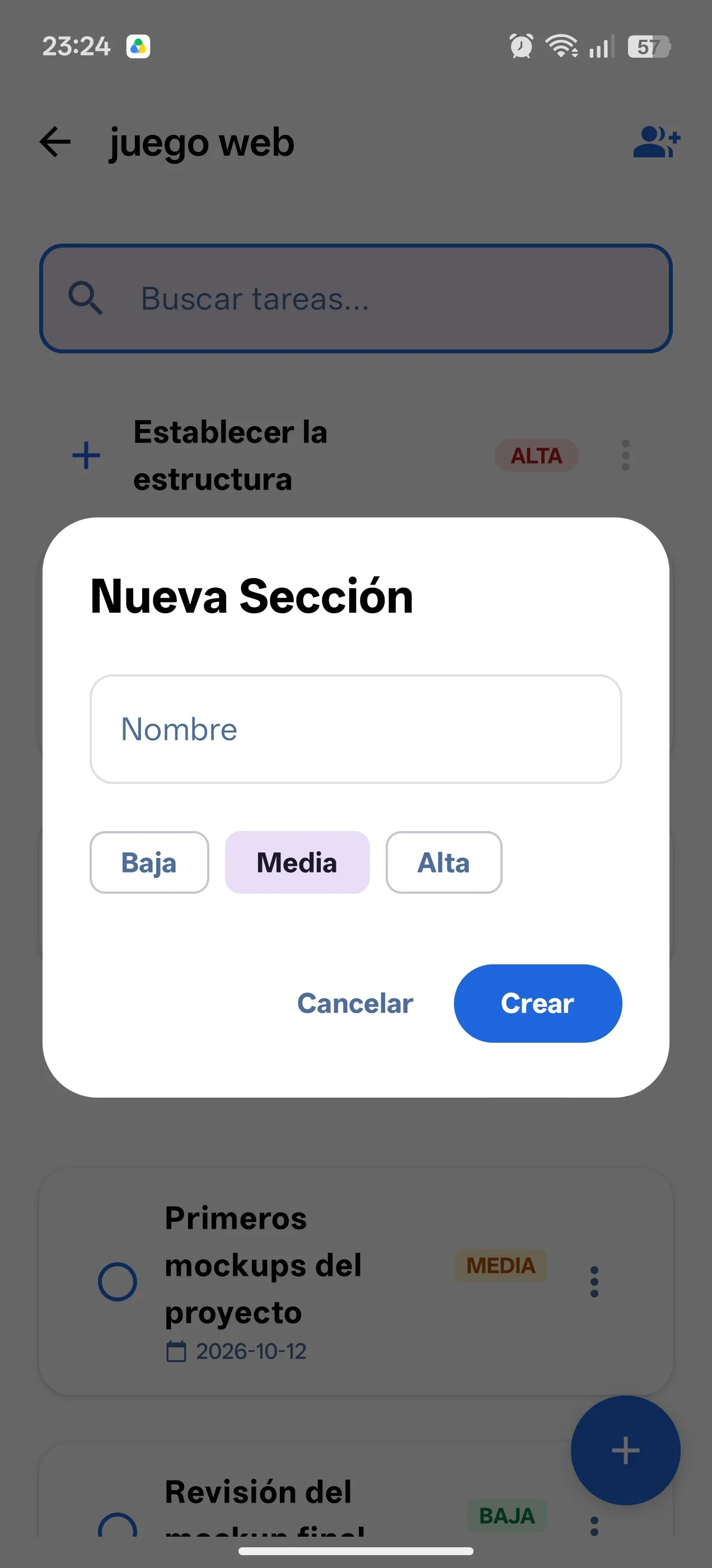 Pantalla 5 de Project Manager