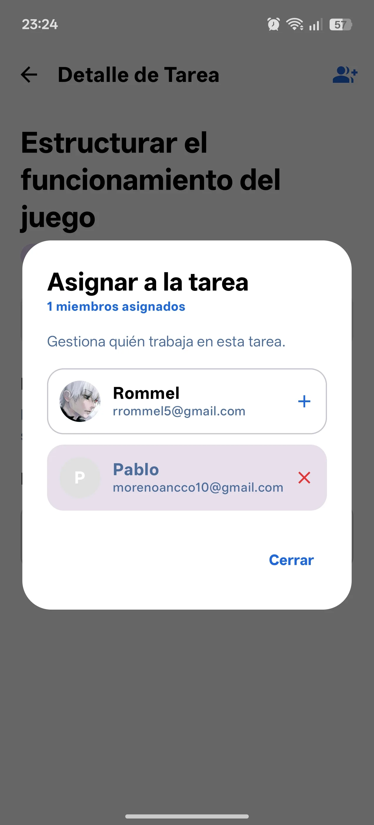 Pantalla 9 de Project Manager