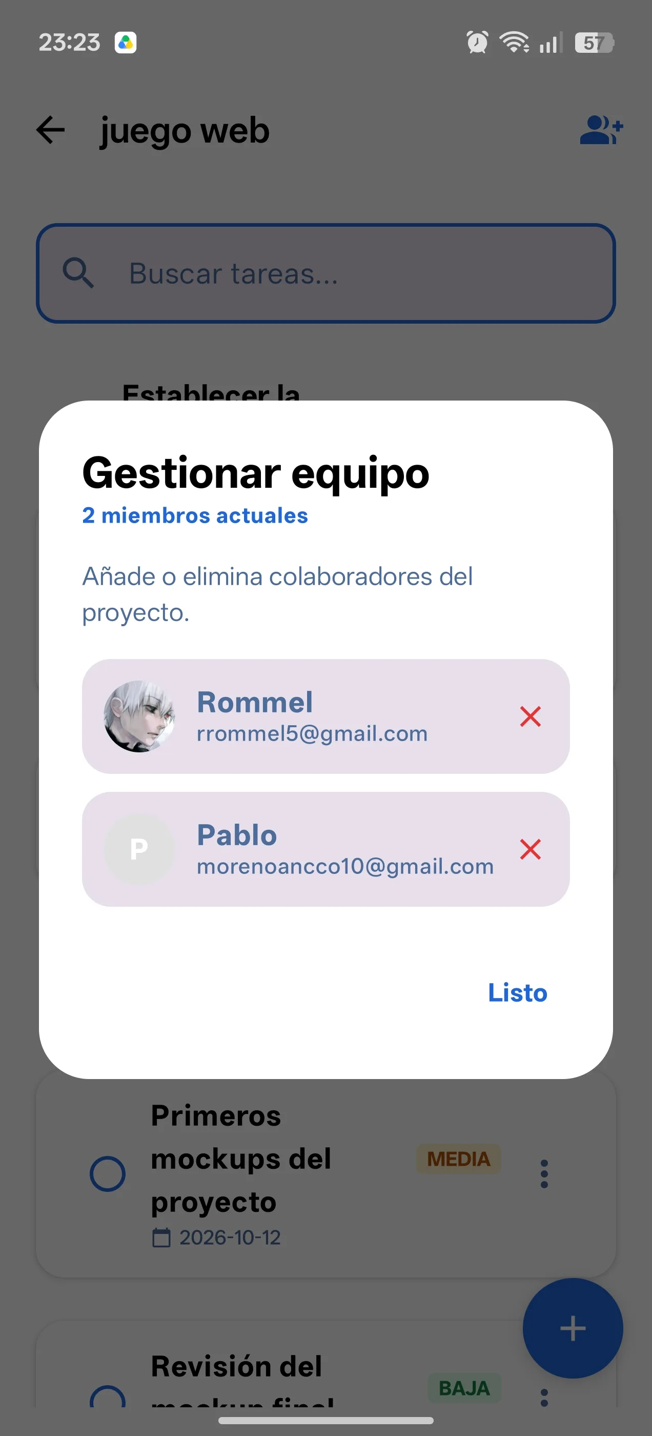 Pantalla 4 de Project Manager