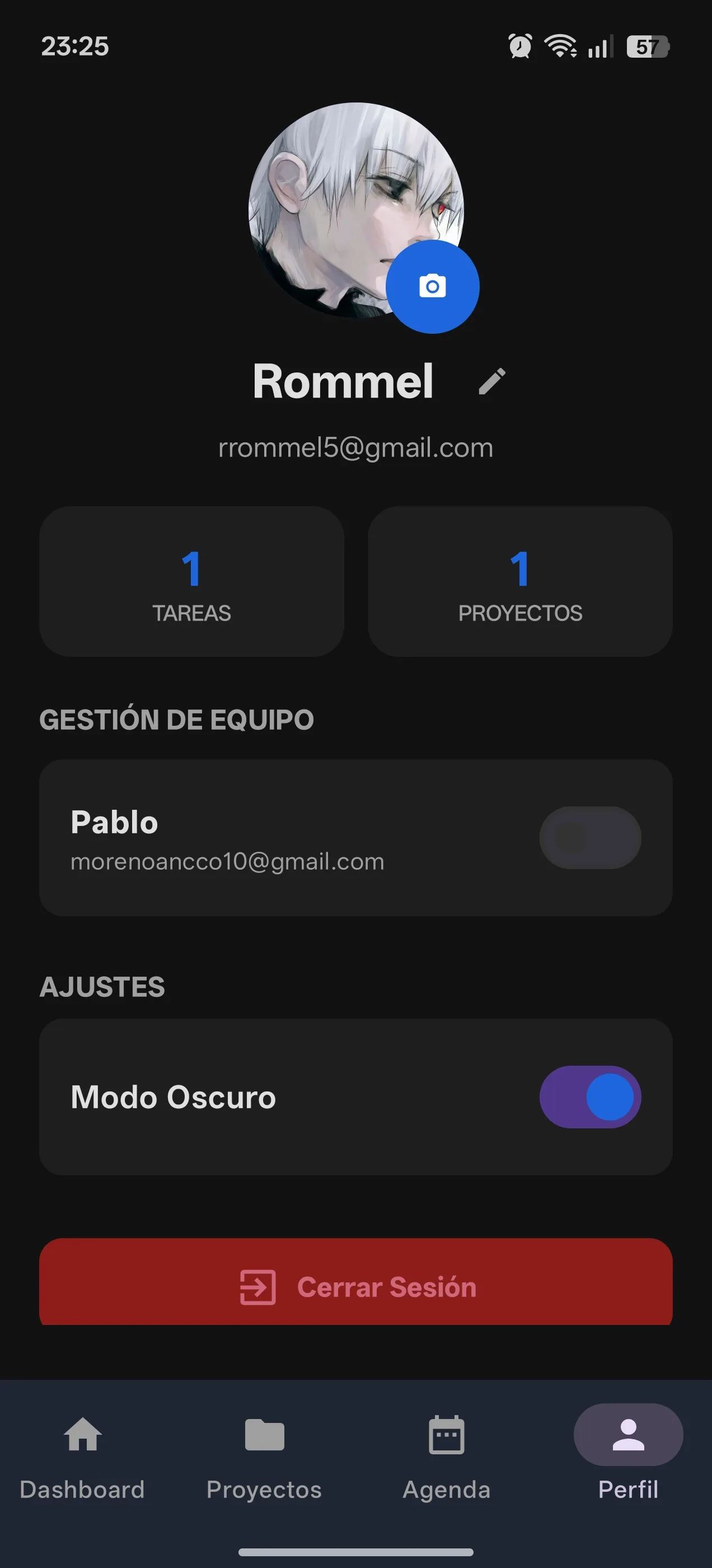 Pantalla 11 de Project Manager